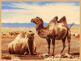 Круглый шерстяной пейзажный ковер Hunnu 6S873 82 верблюды